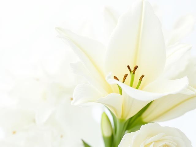 Elegant white lilies and cream roses bouquet